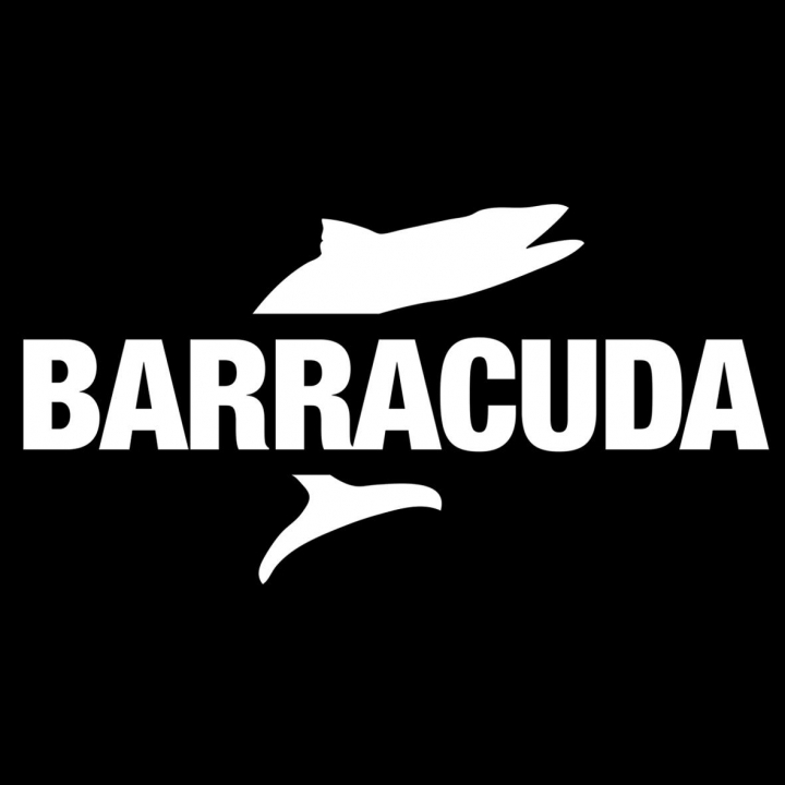 Capodanno Barracuda Club Lido Spina Comacchio